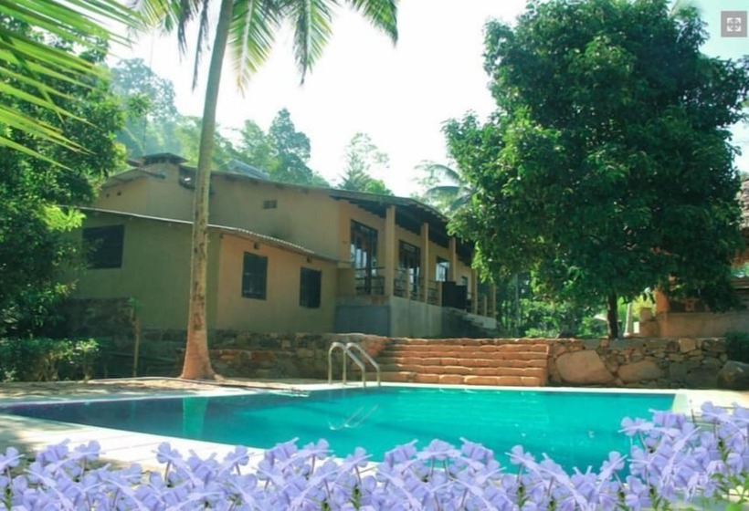 Hotel The Wild Spring