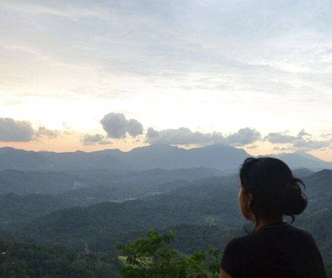 Пансион Green View Holiday Resort