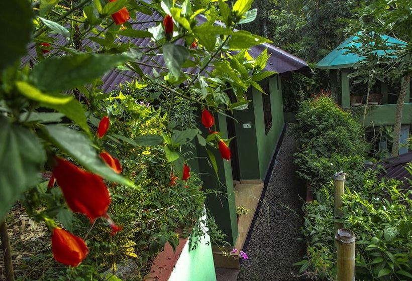 אתר נופש Ecotones Munnar