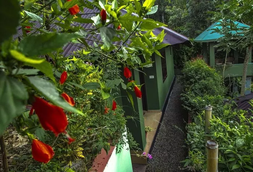 Resort Ecotones Munnar