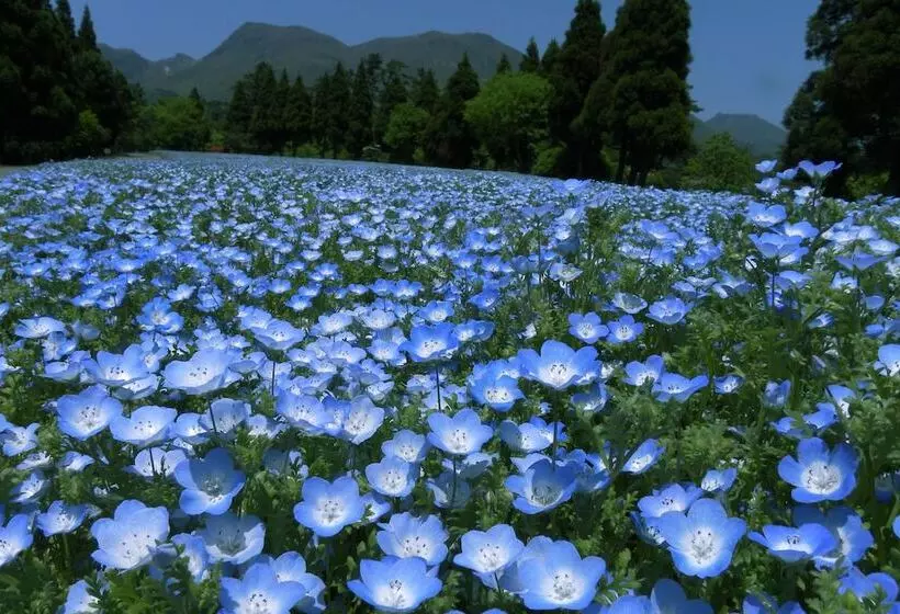 Ryokan Hoshino Resorts Kai Aso