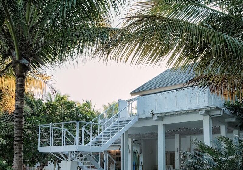 Общежитие Myamo Beach Lodge