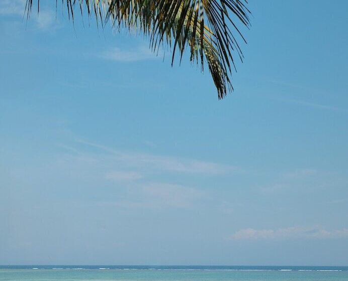 Общежитие Myamo Beach Lodge