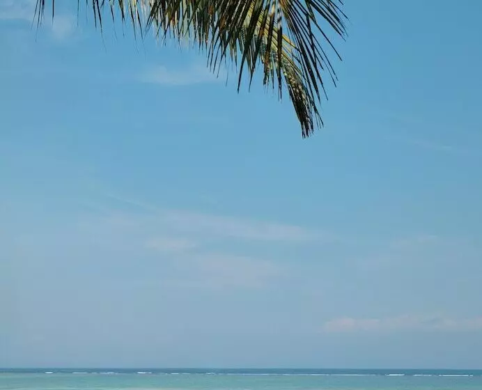 ユースホステル Myamo Beach Lodge