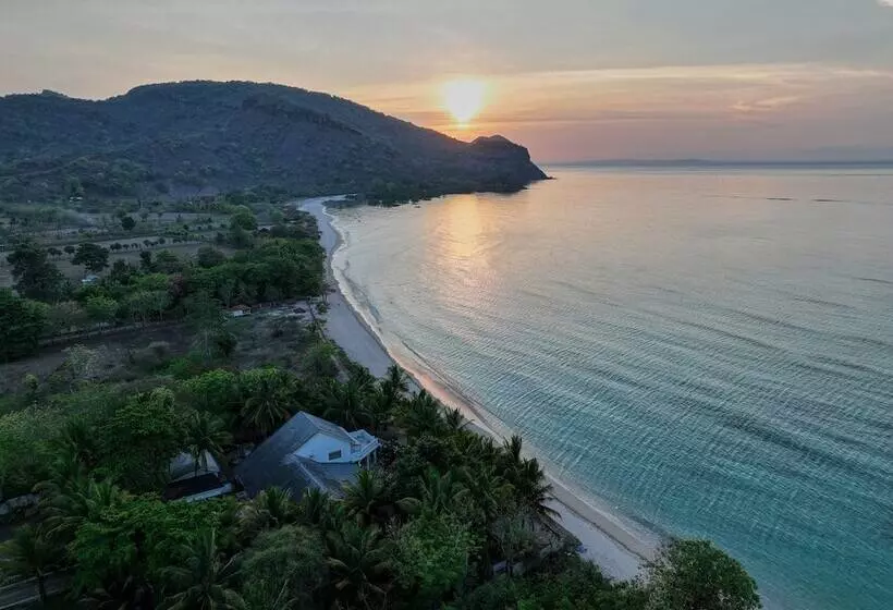 ユースホステル Myamo Beach Lodge