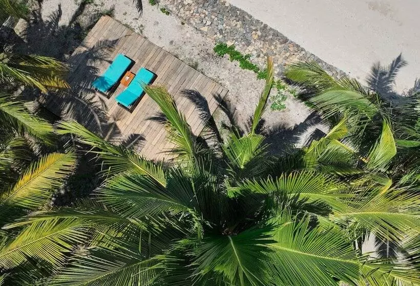 ユースホステル Myamo Beach Lodge