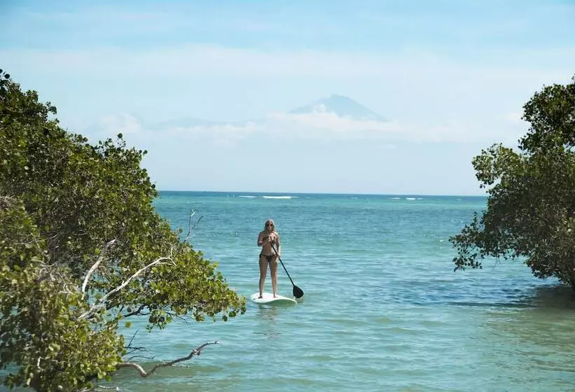 ユースホステル Myamo Beach Lodge