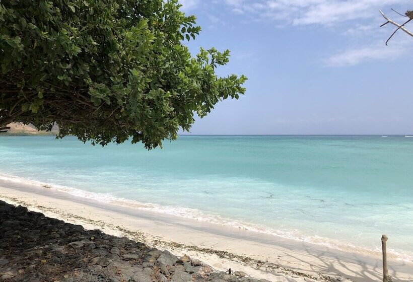 Общежитие Myamo Beach Lodge