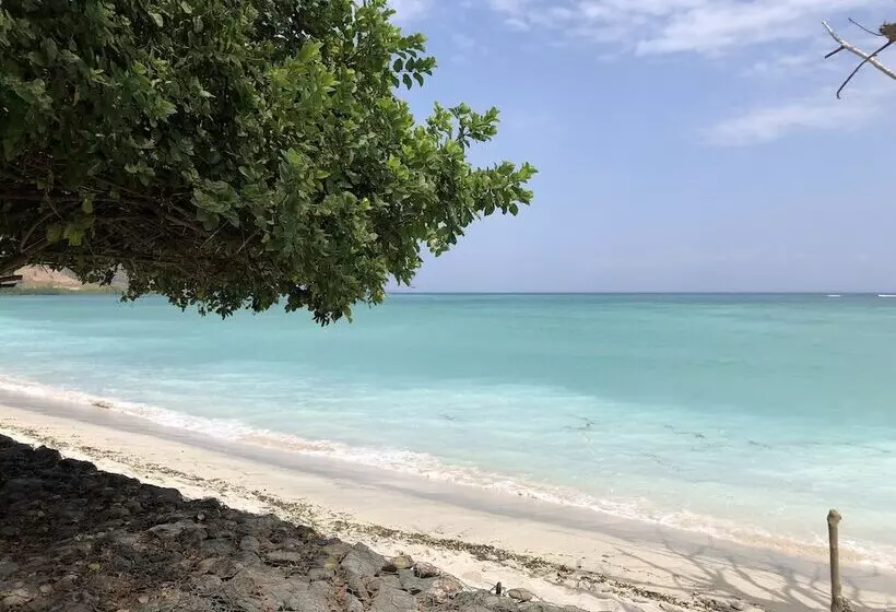 ユースホステル Myamo Beach Lodge