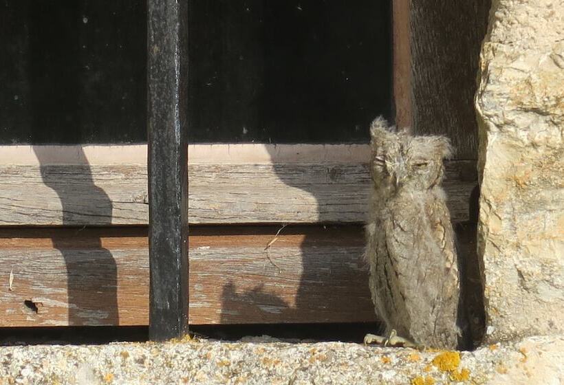 Bed and Breakfast Chambres D Hôtes Canel