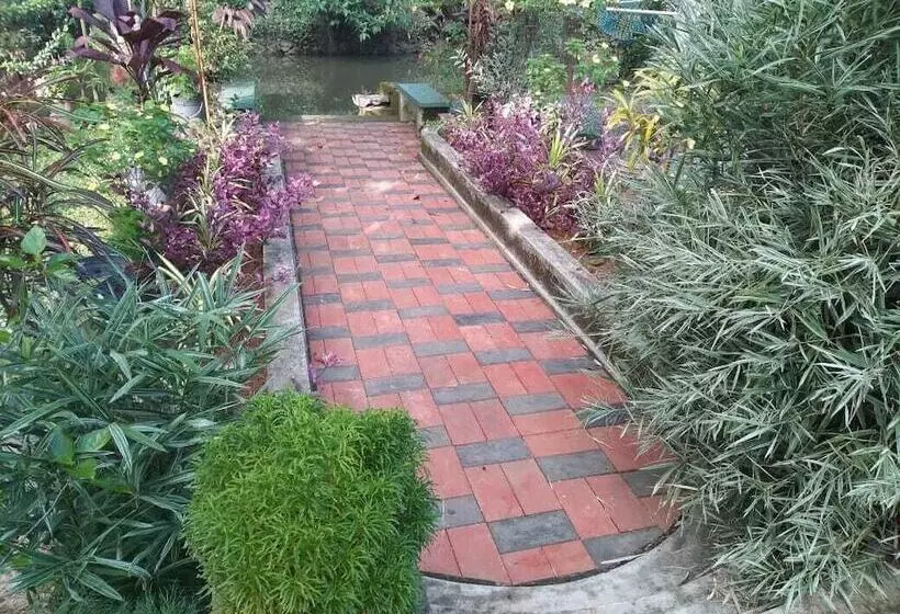 ベッドアンドブレックファースト Kuttickattil Gardens Homestay