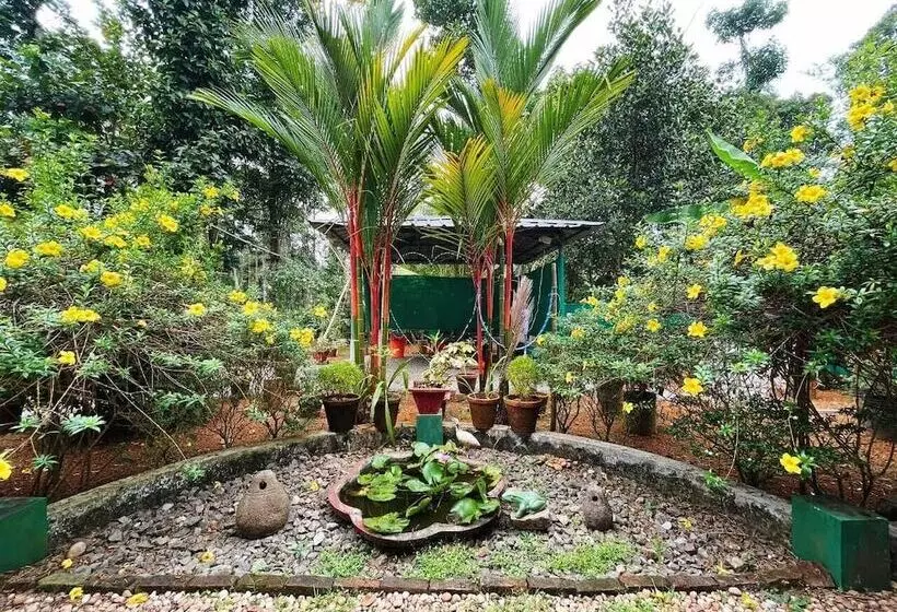 ベッドアンドブレックファースト Kuttickattil Gardens Homestay