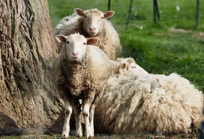 Aamiaismajoitus (B&B) La Ferme Des Isles