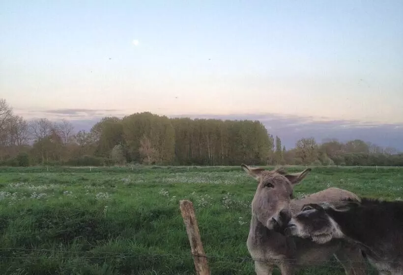 Aamiaismajoitus (B&B) La Ferme Des Isles