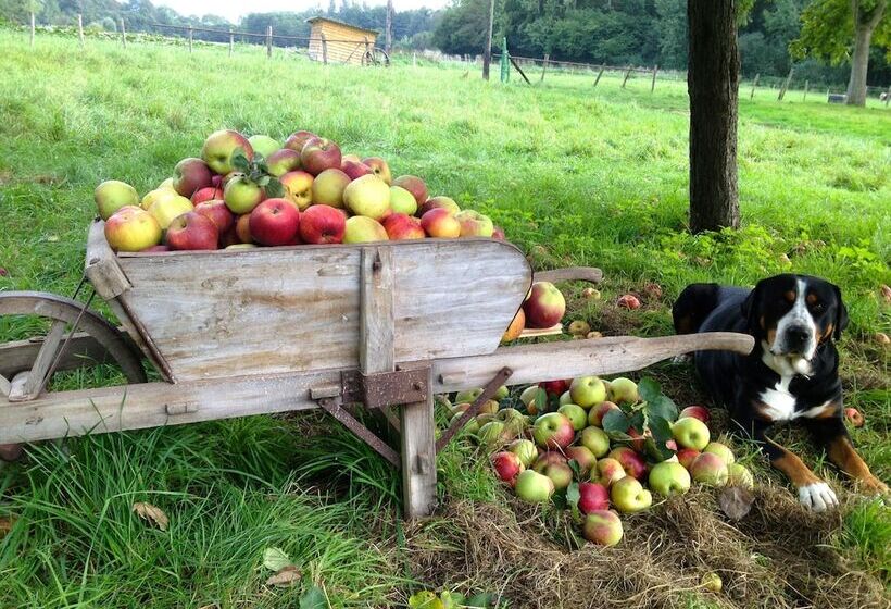 ベッドアンドブレックファースト La Ferme Des Isles