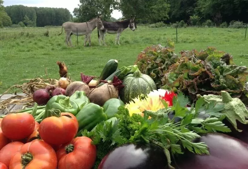 Aamiaismajoitus (B&B) La Ferme Des Isles