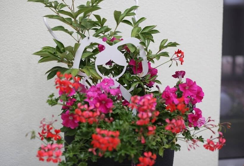 צימר La Rose Trémière