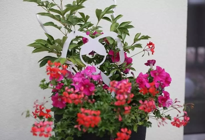 Aamiaismajoitus (B&B) La Rose Trémière