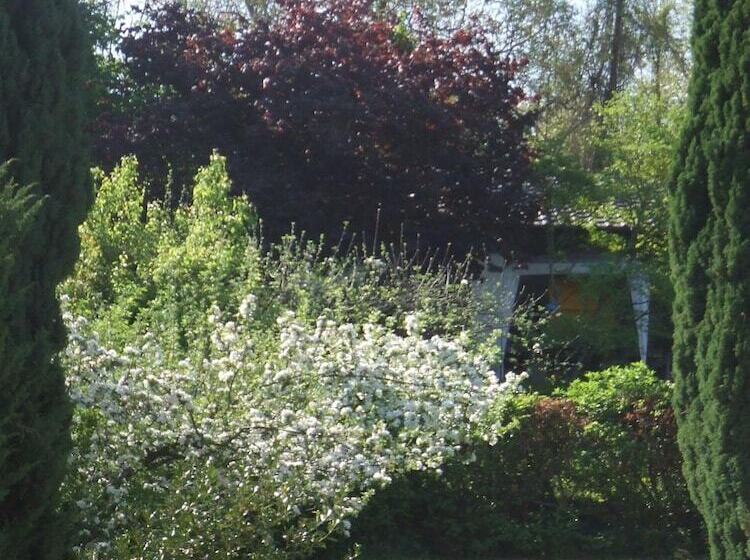 צימר La Rose Trémière