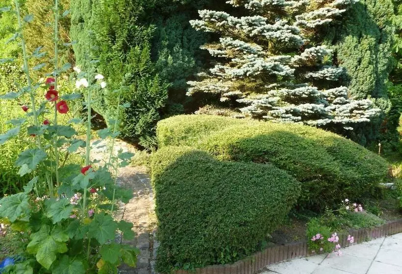 Aamiaismajoitus (B&B) La Rose Trémière