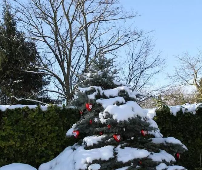 Aamiaismajoitus (B&B) La Rose Trémière