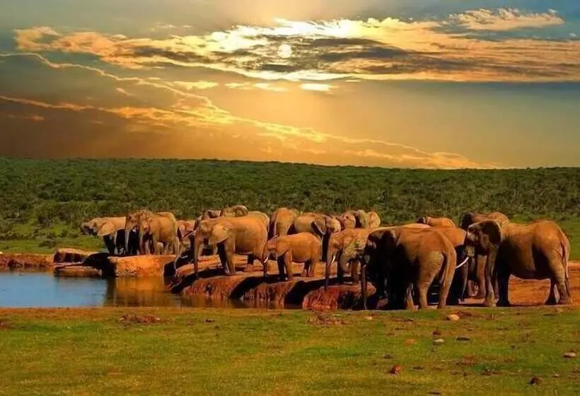 Hostelli Ripple Hill