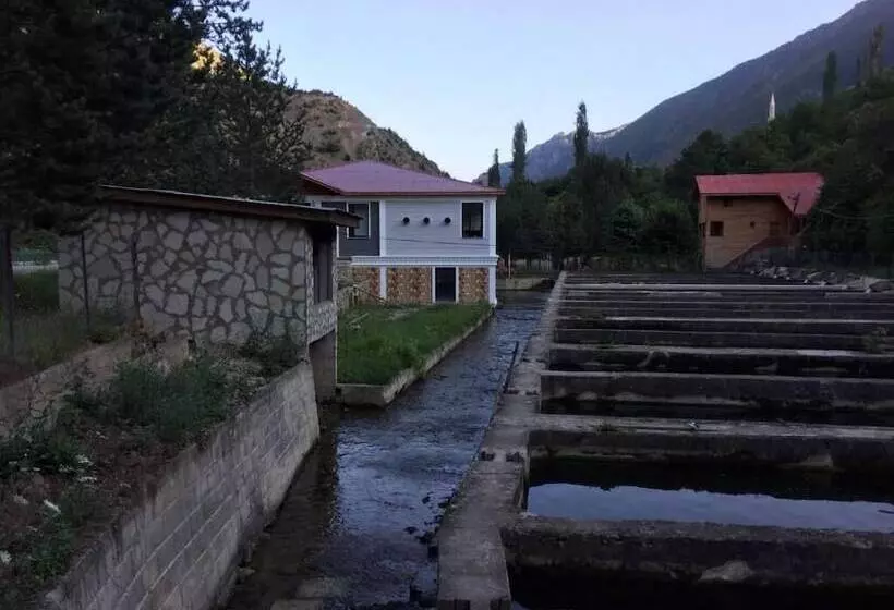 ホテル Agara Pansiyon