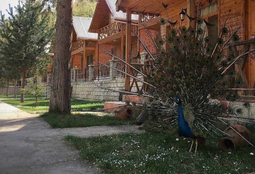 Hotel Agara Pansiyon