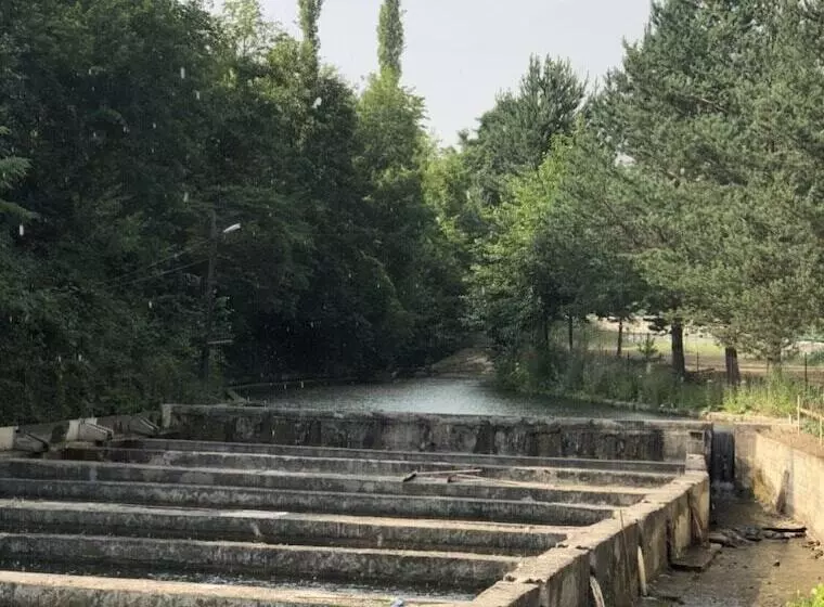 ホテル Agara Pansiyon