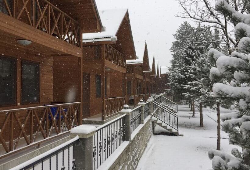 Hotel Agara Pansiyon