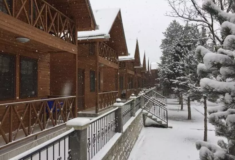 ホテル Agara Pansiyon