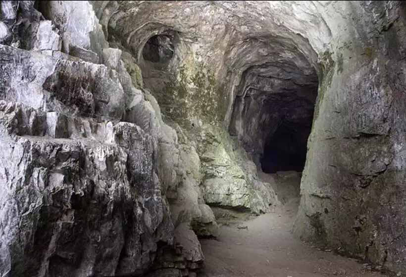 Hotelli Altai Palace