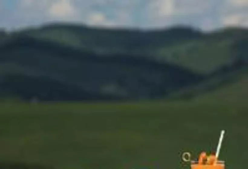 Hotelli Altai Palace