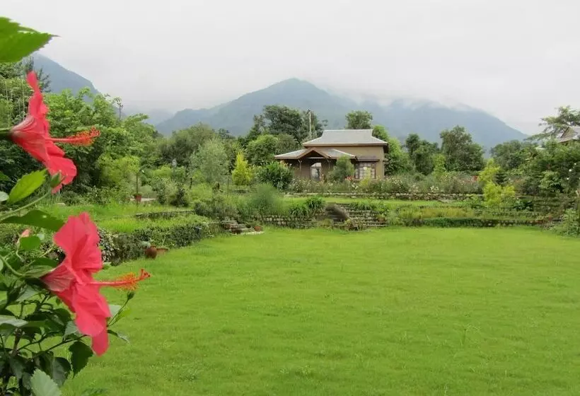 هتل Blossoms Village Resort
