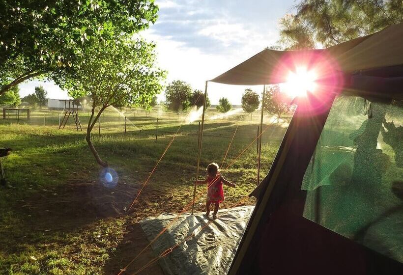 בית מלון כפרי Karoo Gariep Tented Camp