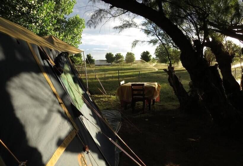 בית מלון כפרי Karoo Gariep Tented Camp