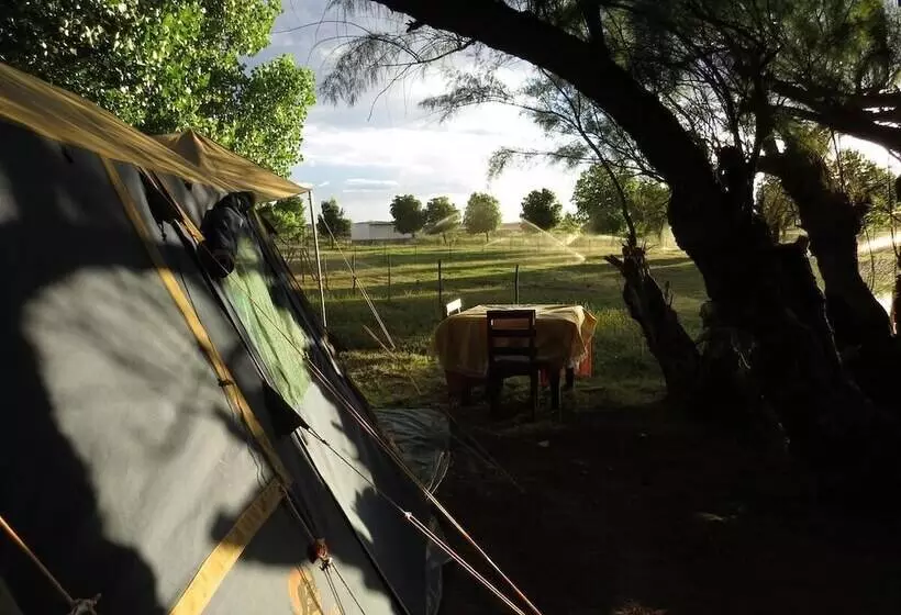 Hotelli Karoo Gariep Tented Camp