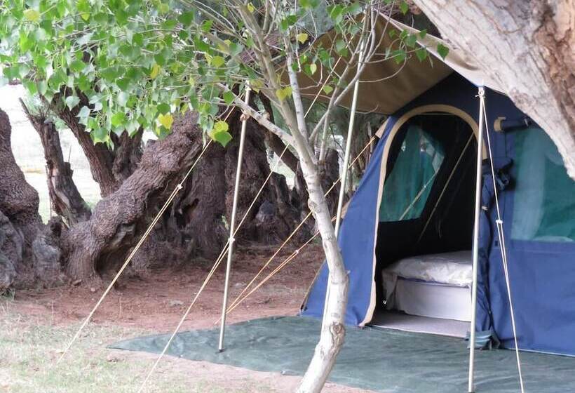 בית מלון כפרי Karoo Gariep Tented Camp
