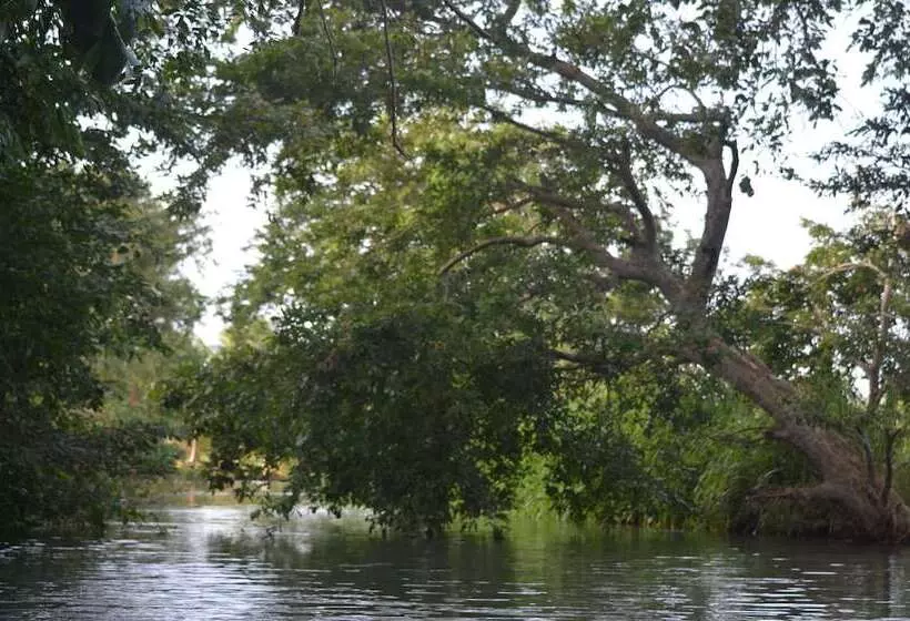 Hotel Makulu Safari Camping