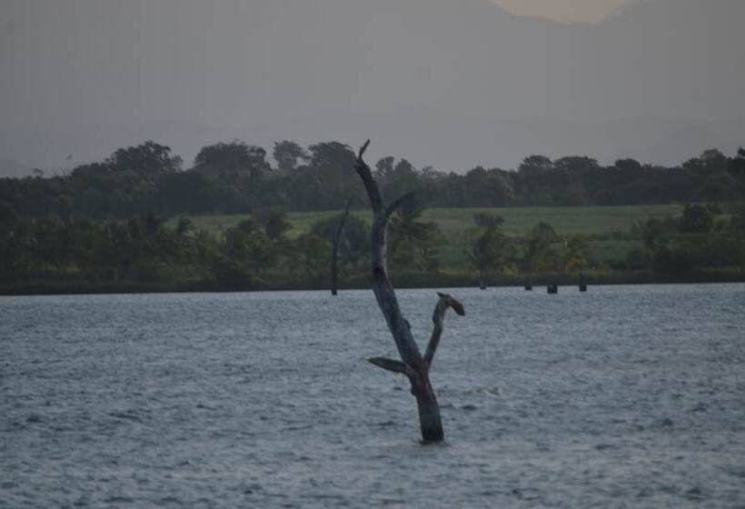 Hotelli Makulu Safari Camping