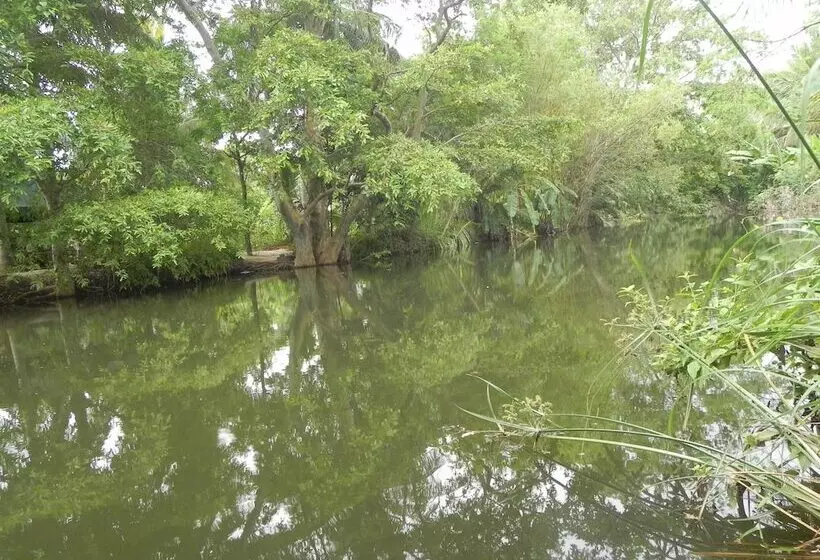 Hotel Makulu Safari Camping