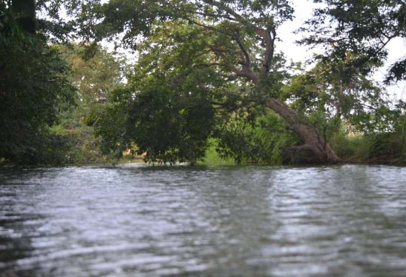 Hotelli Makulu Safari Camping