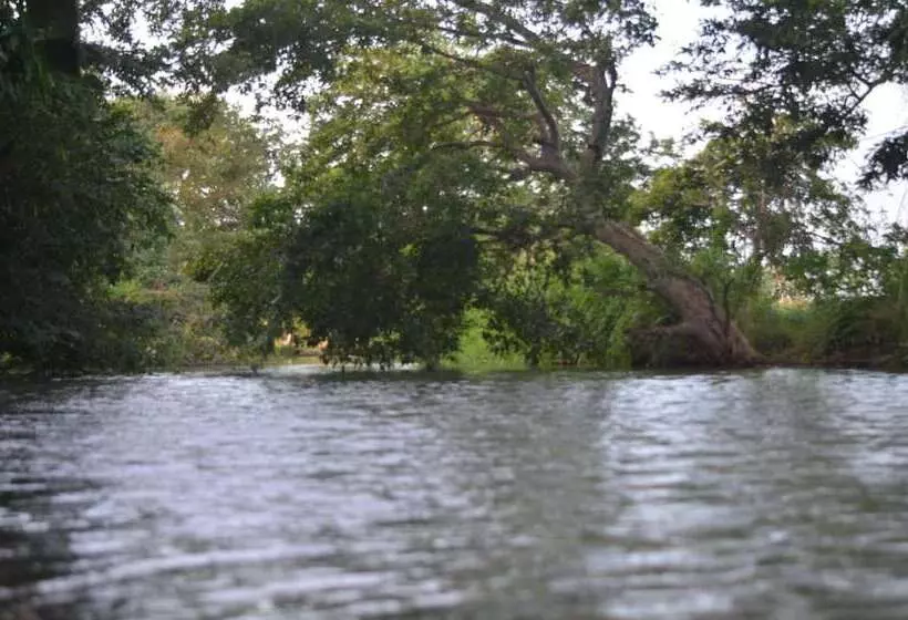 Hotel Makulu Safari Camping