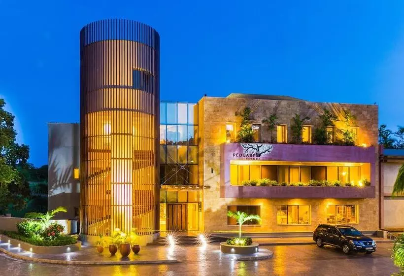 ホテル Peduase Valley Resort