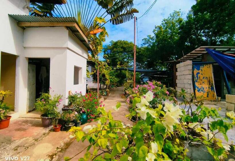 בית מלון כפרי Rene's Diverslounge Resort