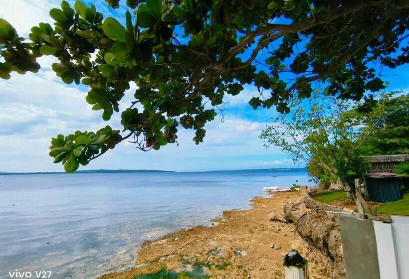 בית מלון כפרי Rene's Diverslounge Resort