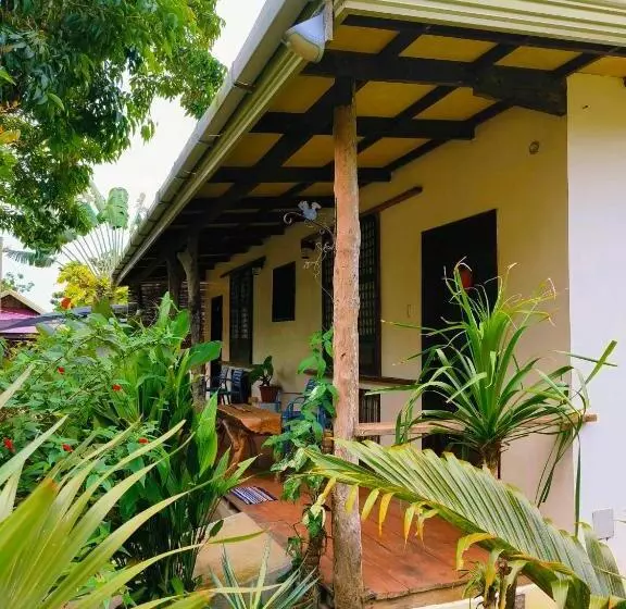 Hotelli Rene's Diverslounge Resort