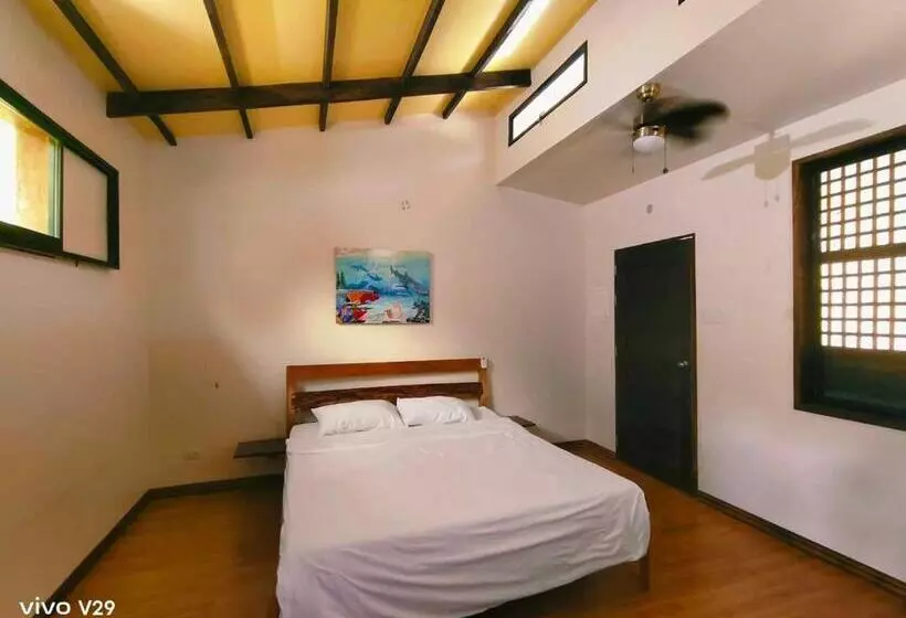 Hotelli Rene's Diverslounge Resort