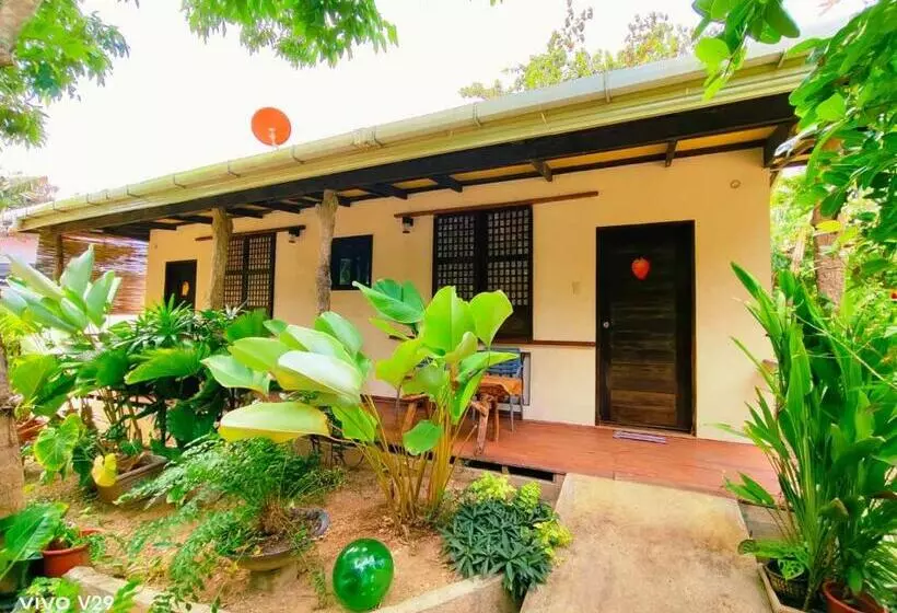 Hotelli Rene's Diverslounge Resort