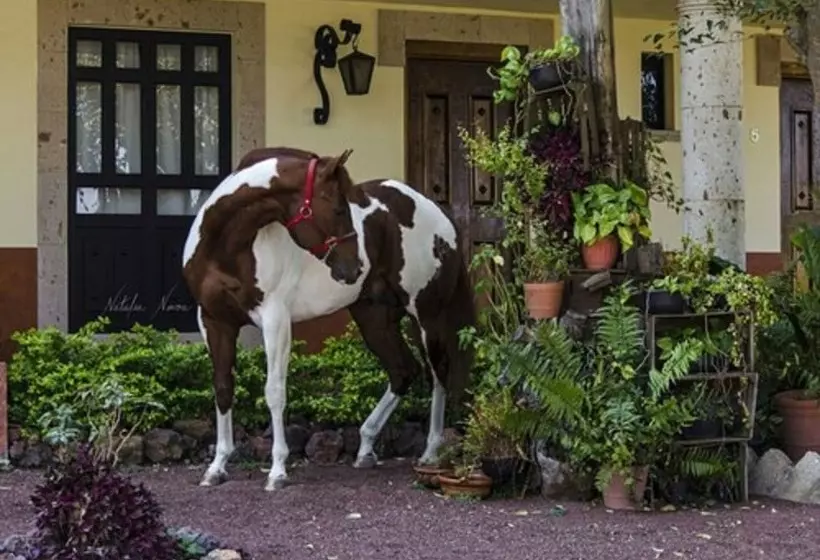 田舎風ホテル Chalet De Colombo
